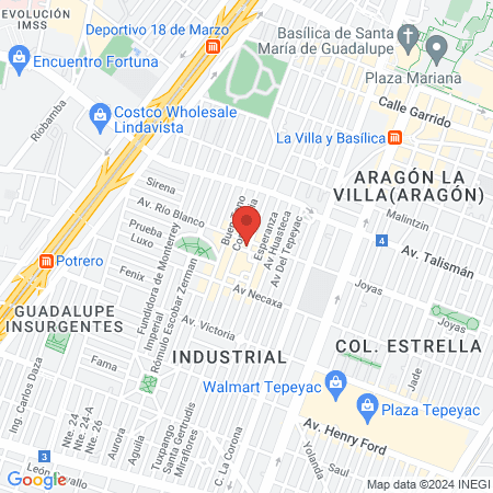 Mundo Pets Bongo map