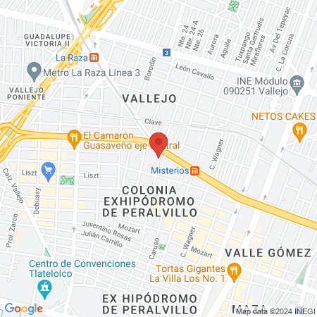 Flores Gomez Ma Eugenia Dra map