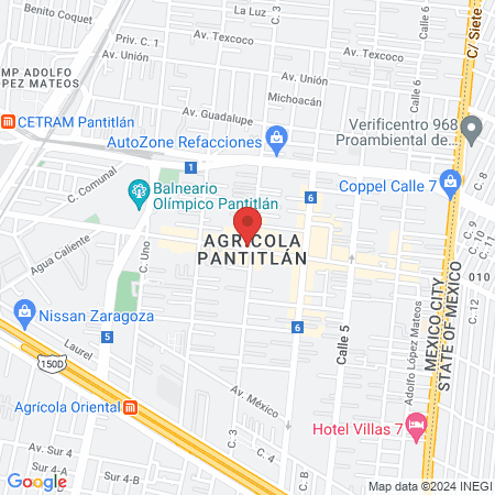 Estética canina map