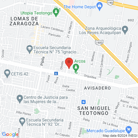 Veterinaria Mi + kota map