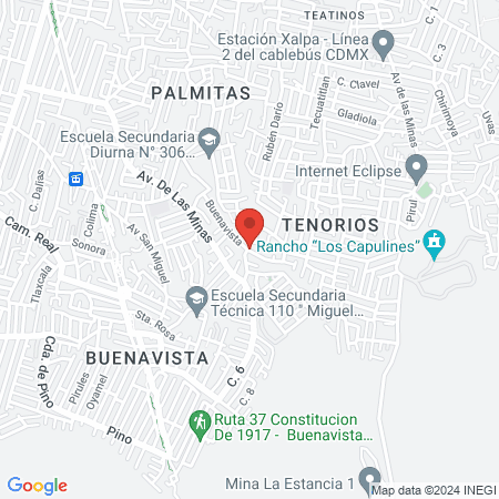 Consultorio Veterinario Tenorios map