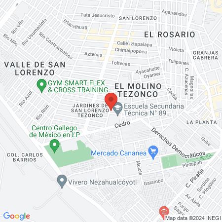 Solución Dental map