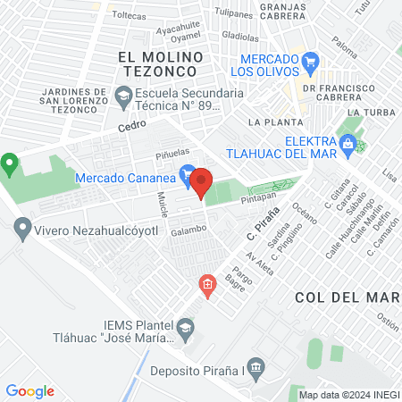 Servicios Veterinarios "La coyoacanita" Unidad El Molino map