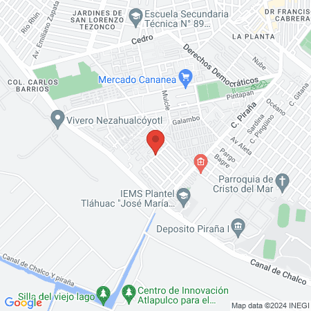 Estética unisex fanny map