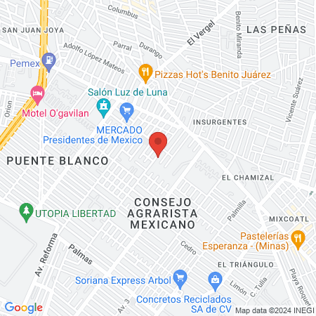 Estética canina y felina map