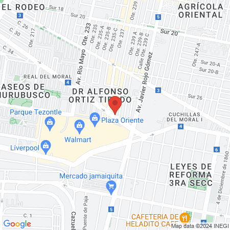 Estética fashionista map