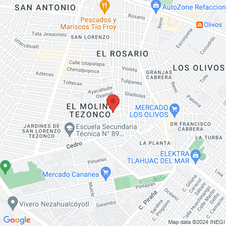 THE BUNNY STUDIO map