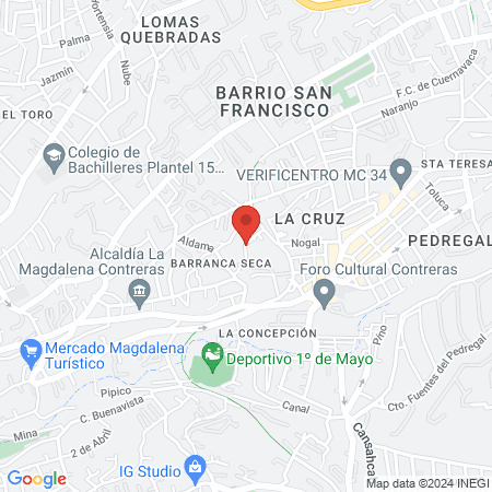 Pedíatra Roberto Camargo Hernández map