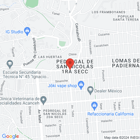 Consultorio Veterinario Pedregal map