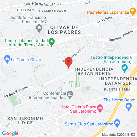 Atención Integral Médico Veterinaria map