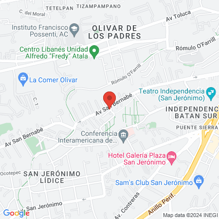 Homeopatía y Acupuntura Veterinaria (MVZ Dipl. Alejandro Fuentes Miembro del Colegio de Profesionales en Med Vet)) map