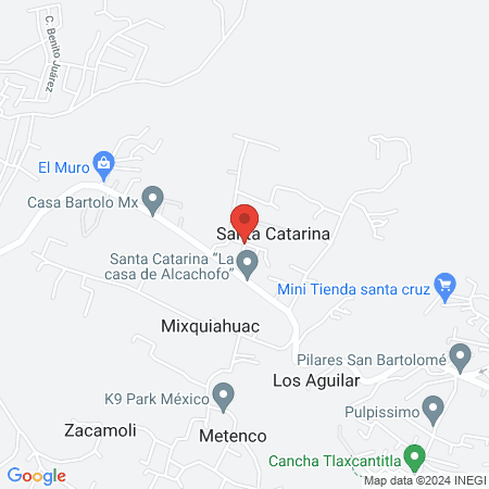 Temazcal Xolaltenco map