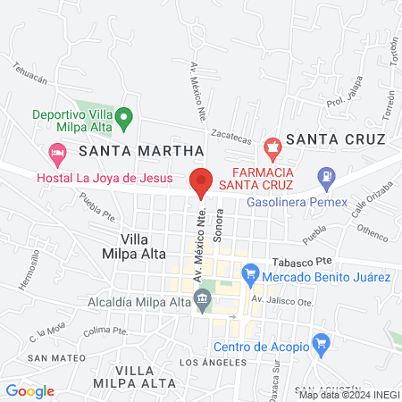 Servicios Veterinarios Tu Mejor Amigo map