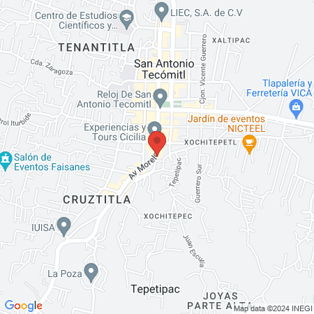 Terapia física y rehabilitación map