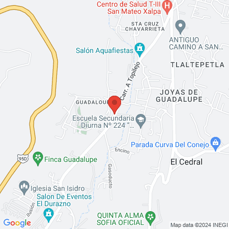 Itzcuintla Esterilizaciones map