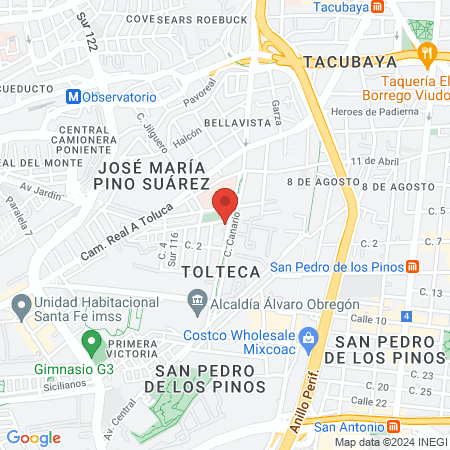 Tofi estilismo canino map