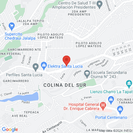 Centro Veterinario Perro Gato map