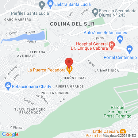 Estética canina map