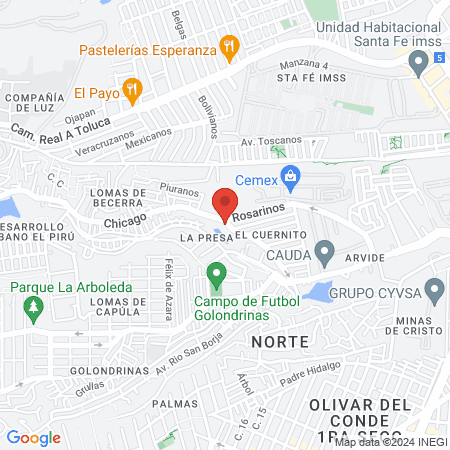 VETERINARIA Damasko map