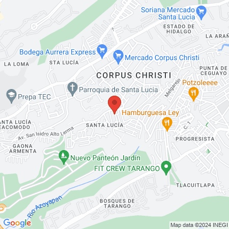 Dentegral Holistic map