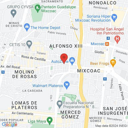 HOLIVET Clínica Holística Veterinaria map