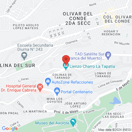 Pichigym Centenario map