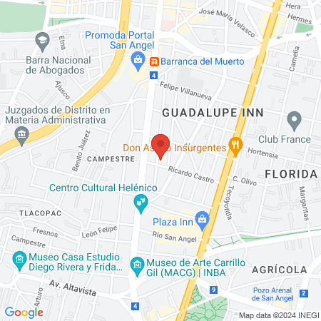 Dra. Ana Casillas Arias map