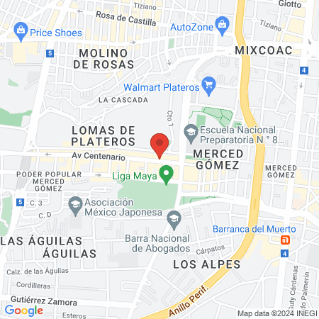 Estética "Shampoo" map