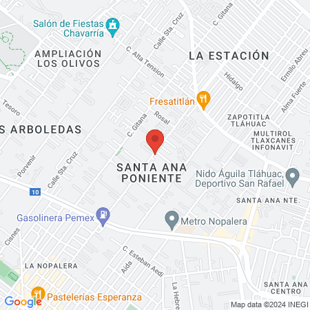 BEVICHOS VETERINARIA Y ESTETICA CANINA map