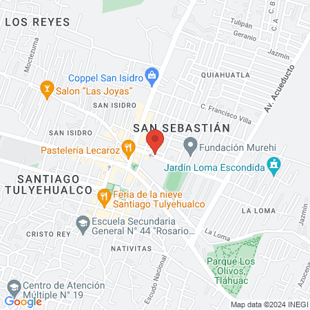 Estética "Shampoo" map