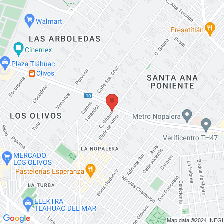 Estetica canina patita de perro map