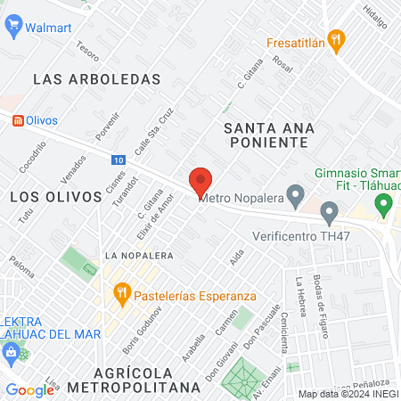 CLINICA VETERINARIA "ZELTZIN" map