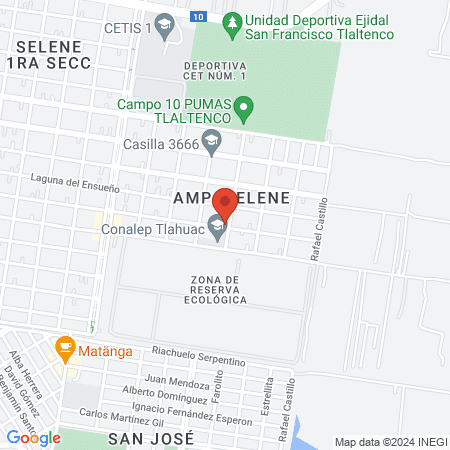 Estética Unisex "Elo" map