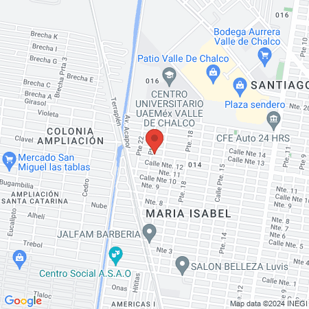 salud, educación, cultura y recreación profesionales con actitud humana A. C. map