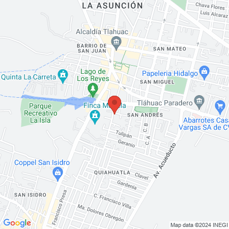 Estética Unisex Sol map