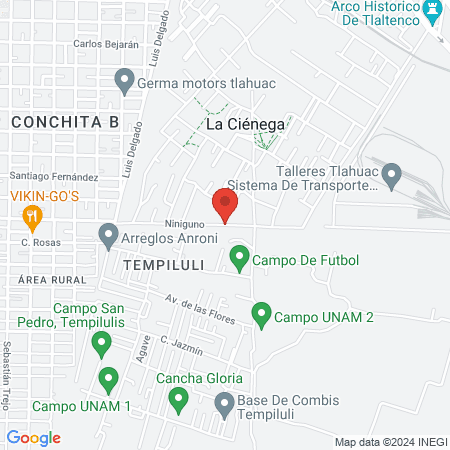 EL PUNTO DEL MIKY map