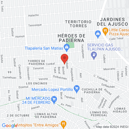 Clínica Veterinaria Óptimo Pet Can Ajusco map