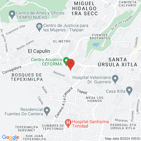 Consultorio Arts_Dental map