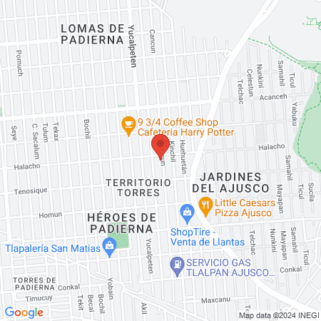 Dra. Maleny Sánchez Flores. Ginecología y Obstetricia map