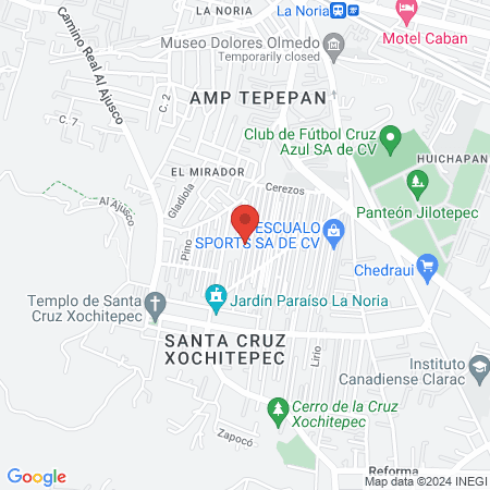 ignacio salvador borboa morales map