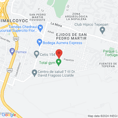 pediatría integral map