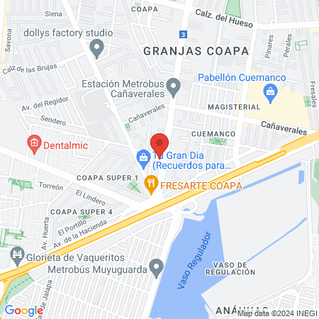 CLÍNICA VETERINARIA map