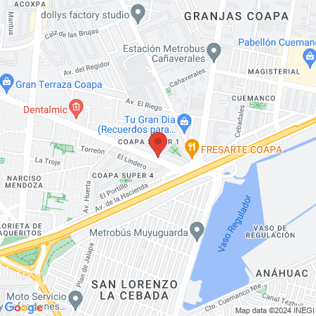 Consultorio Veterinario map