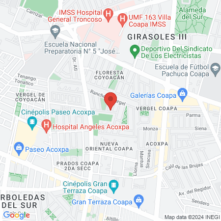 Gonzalez Ramirez Leticia map