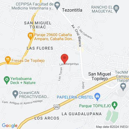 Neydi Osnaya Romero Pediatra map