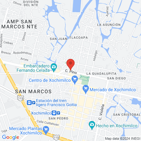 Calle pino 11 san agustín atlapulco map