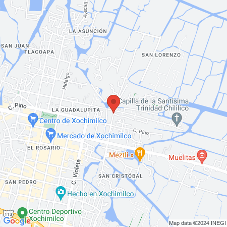 ESTETICA CANINA HOLLY map