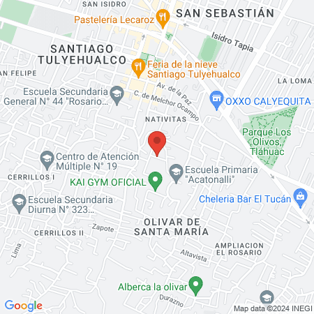 Risum Dent Tulyehualco map