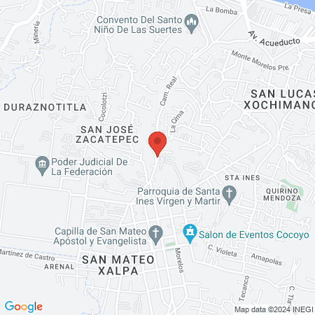 Dental Palmar Chico map