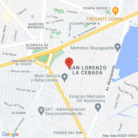 Consultorio Veterinario Yolkalt map